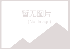 宁波江北女孩金融有限公司